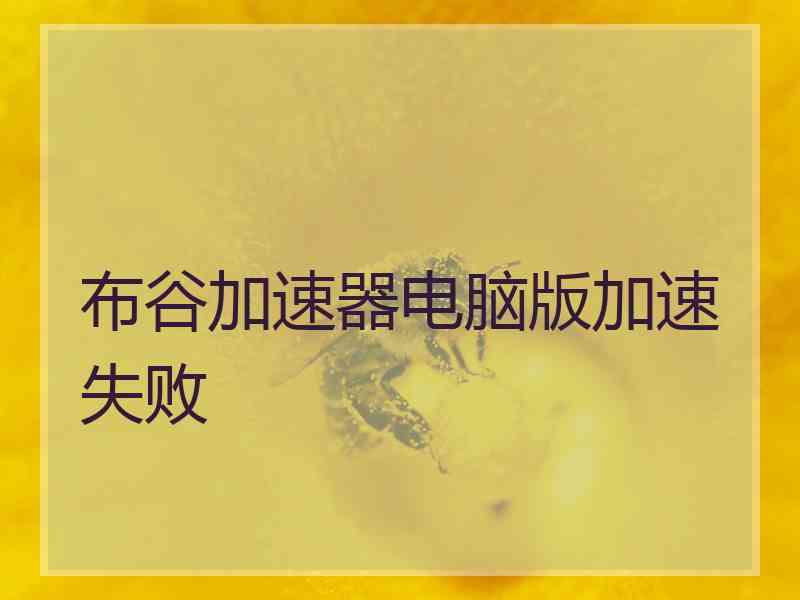 布谷加速器电脑版加速失败