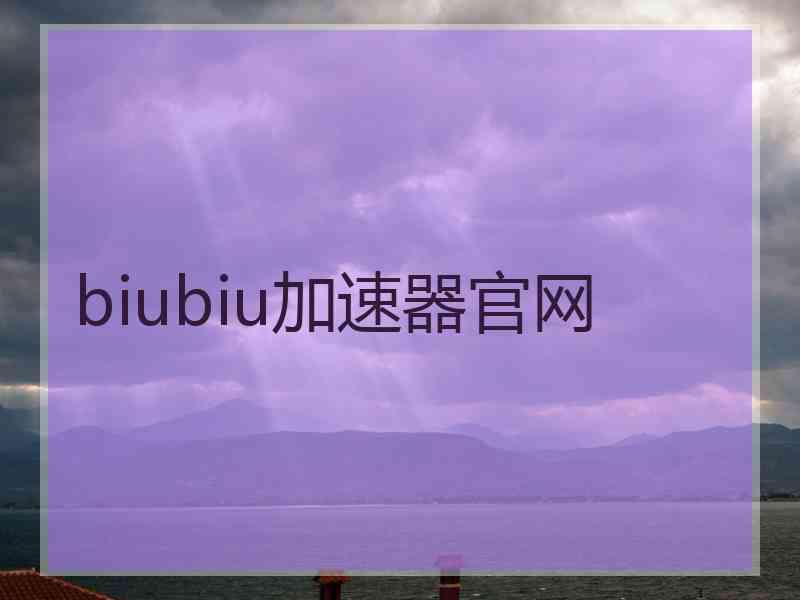 biubiu加速器官网