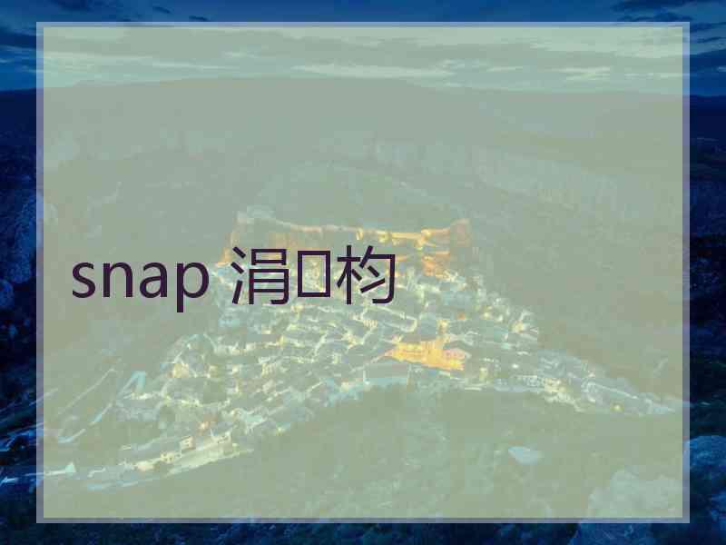 snap 涓枃