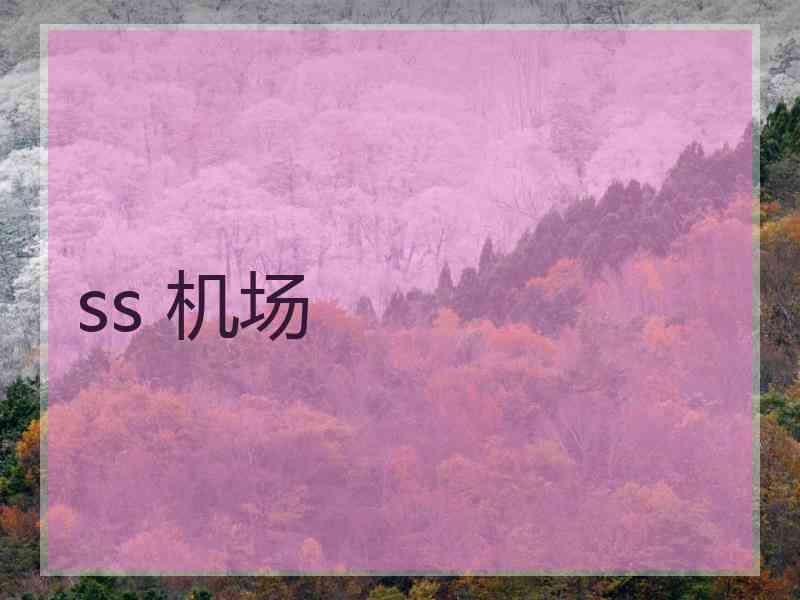 ss 机场