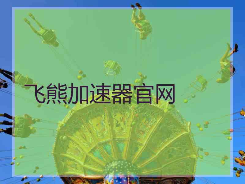 飞熊加速器官网