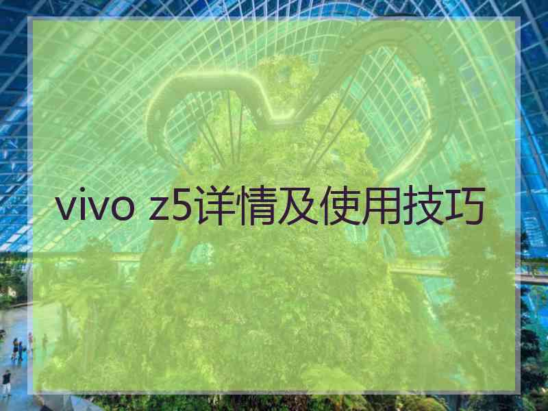 vivo z5详情及使用技巧