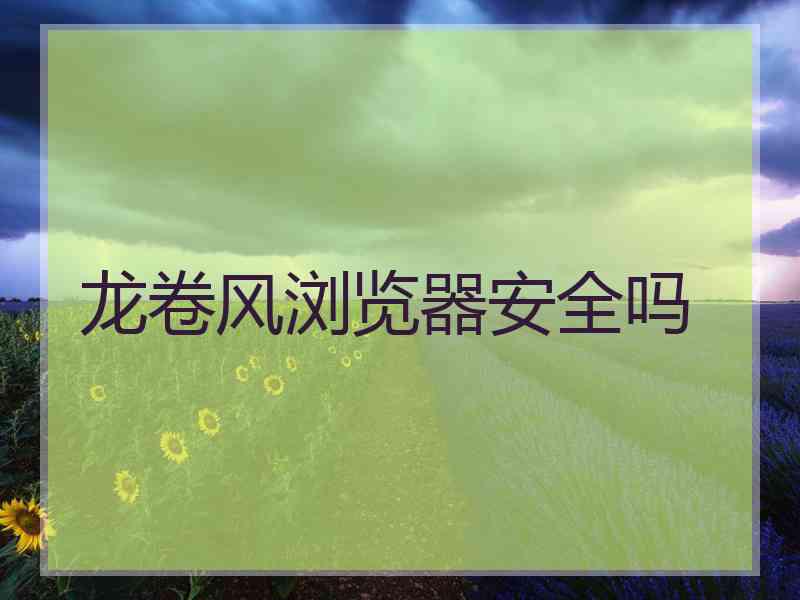 龙卷风浏览器安全吗