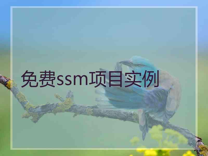 免费ssm项目实例