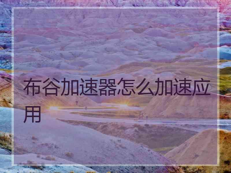 布谷加速器怎么加速应用
