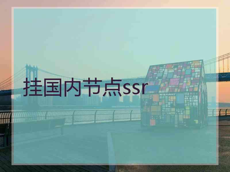 挂国内节点ssr