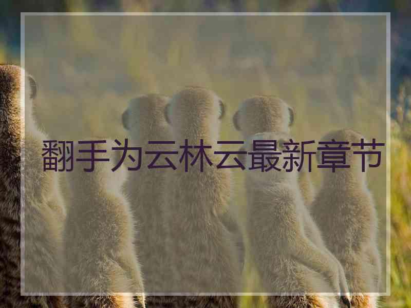 翻手为云林云最新章节