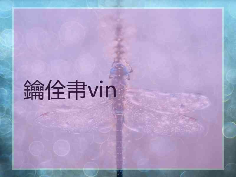 鑰佺帇vin