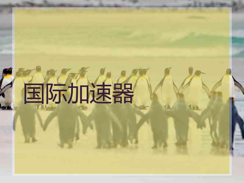 国际加速器