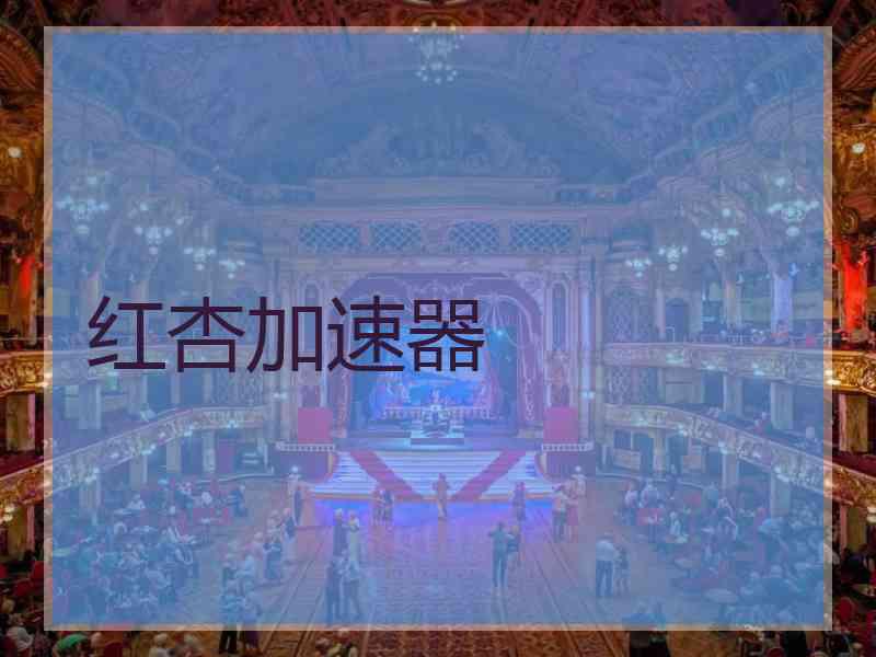 红杏加速器