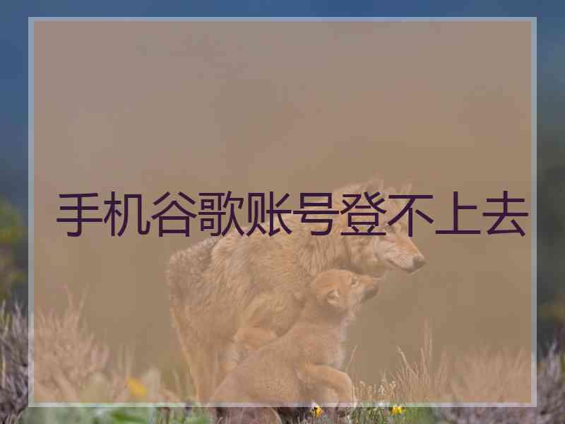 手机谷歌账号登不上去