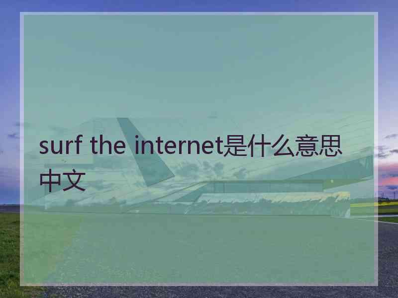 surf the internet是什么意思中文