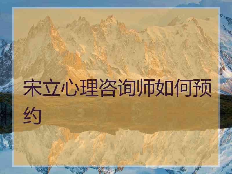 宋立心理咨询师如何预约