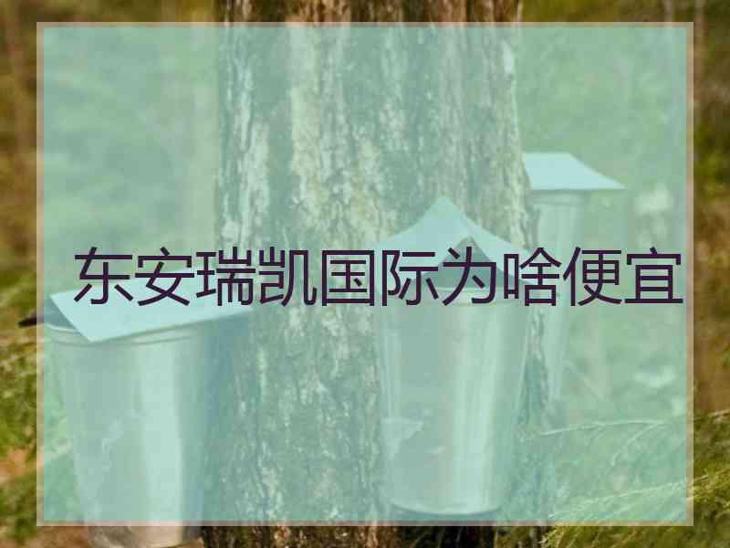东安瑞凯国际为啥便宜