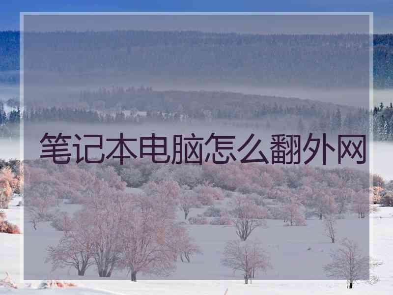 笔记本电脑怎么翻外网