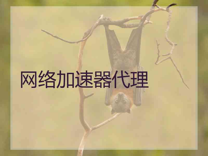 网络加速器代理