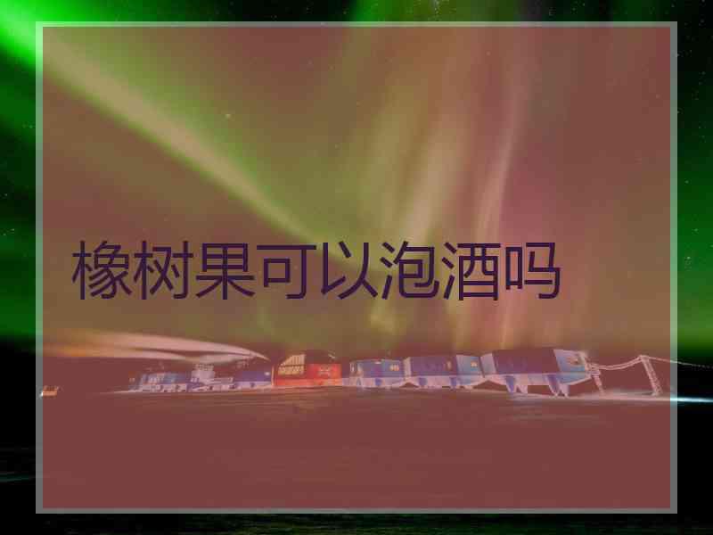 橡树果可以泡酒吗