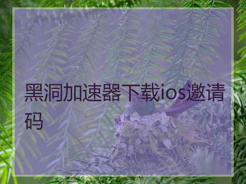 黑洞加速器下载ios邀请码