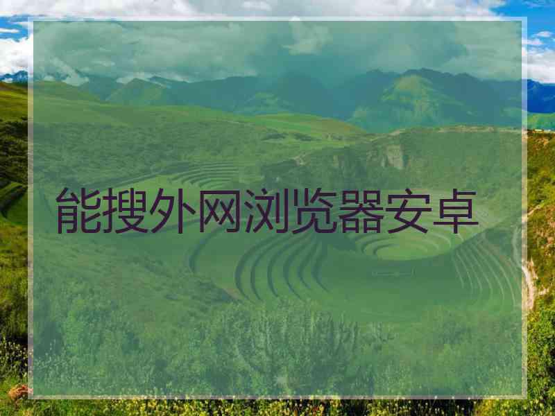 能搜外网浏览器安卓