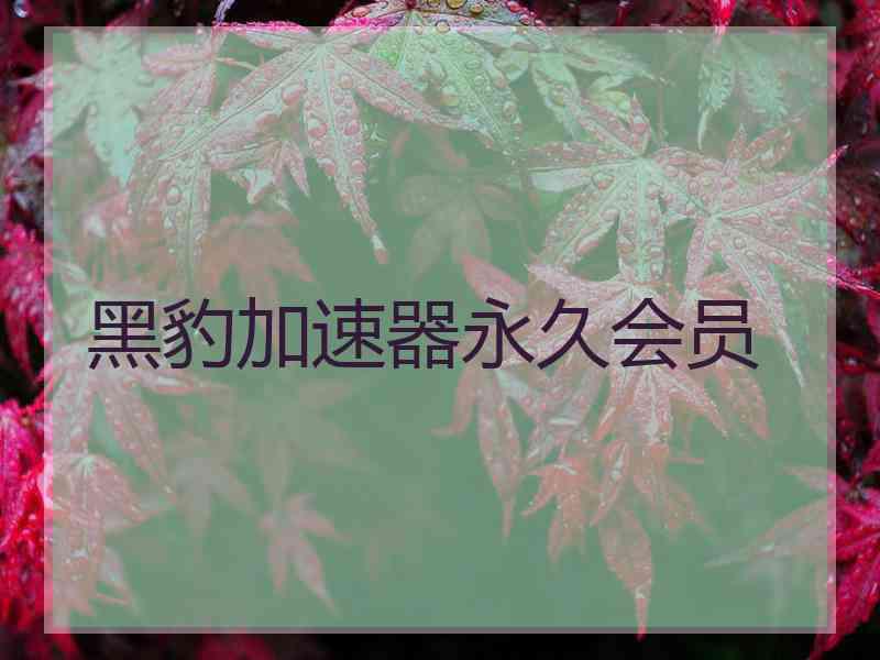 黑豹加速器永久会员