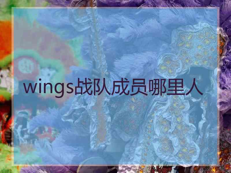 wings战队成员哪里人