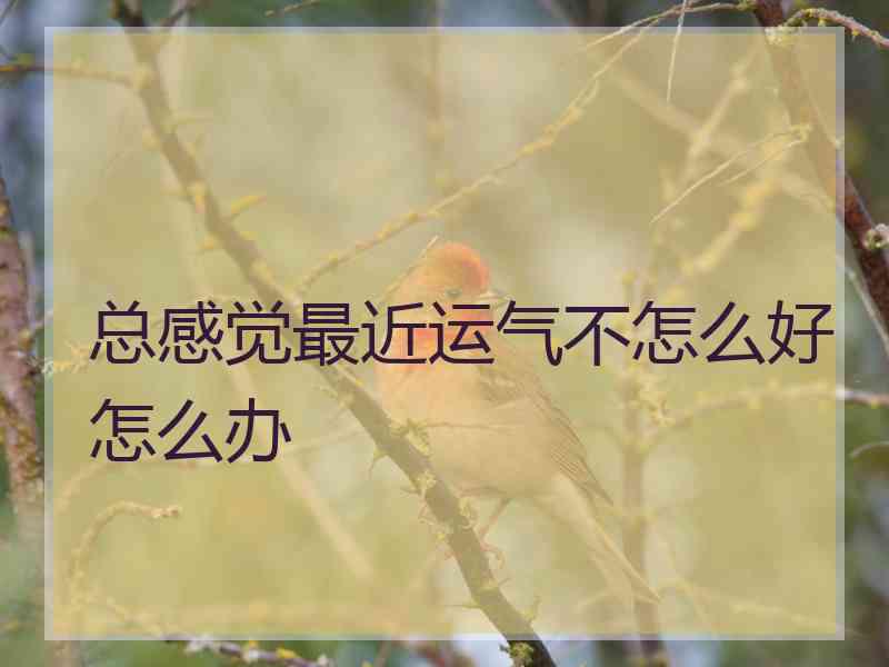 总感觉最近运气不怎么好怎么办