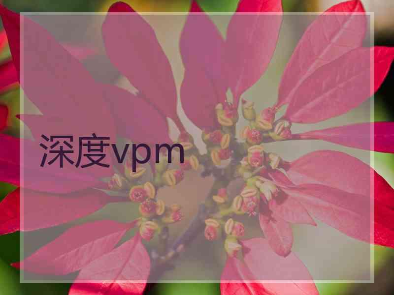 深度vpm