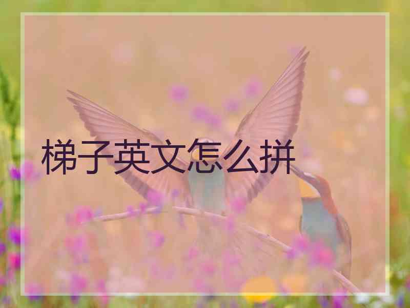 梯子英文怎么拼
