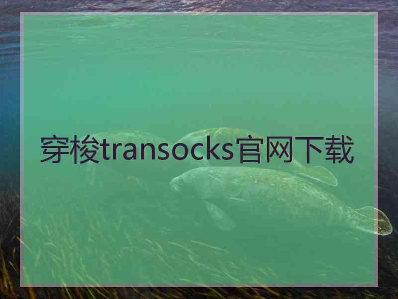 穿梭transocks官网下载