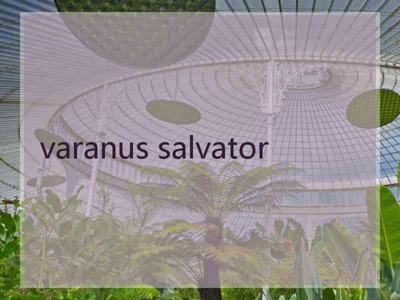 varanus salvator
