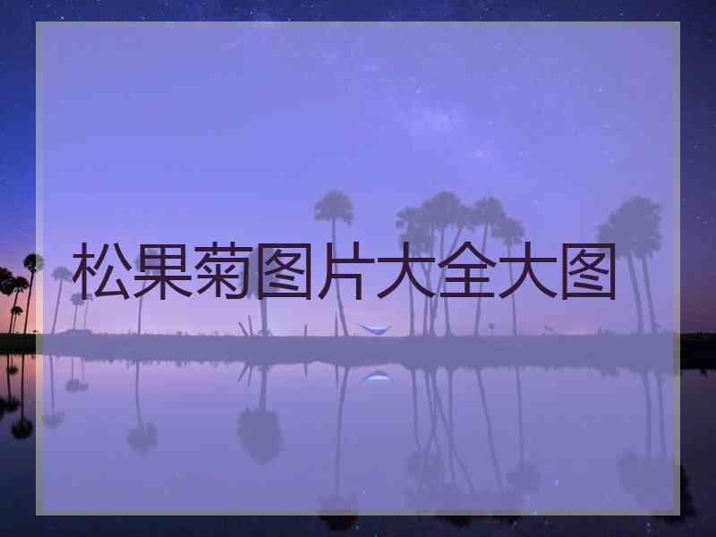 松果菊图片大全大图