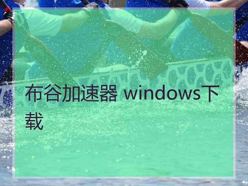 布谷加速器 windows下载