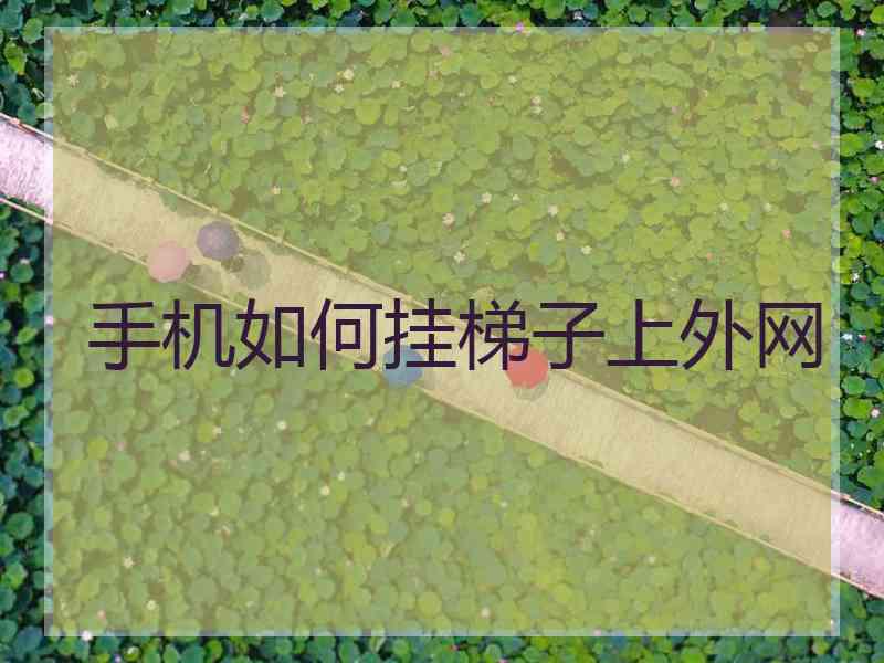 手机如何挂梯子上外网
