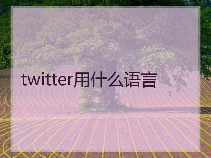 twitter用什么语言