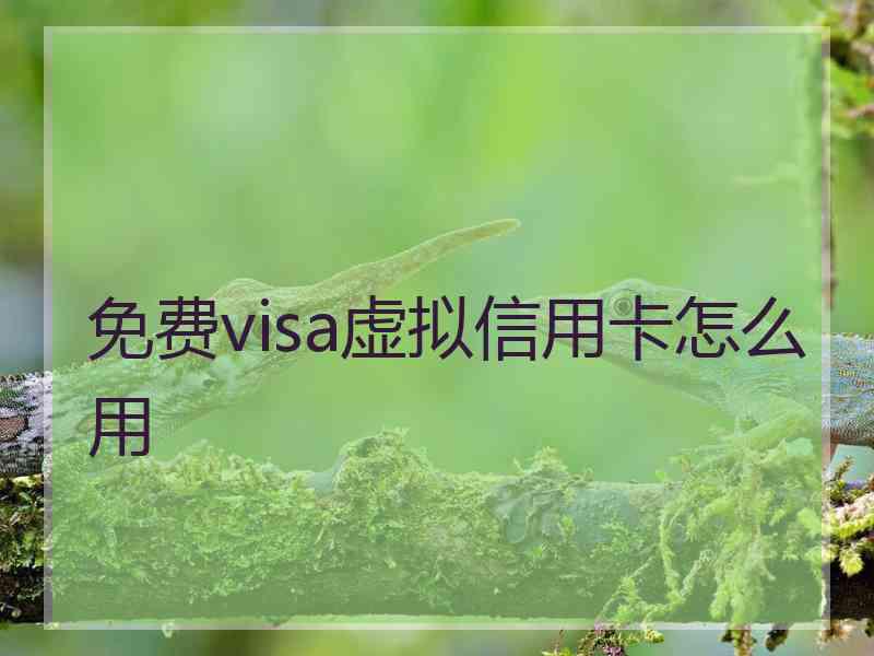 免费visa虚拟信用卡怎么用