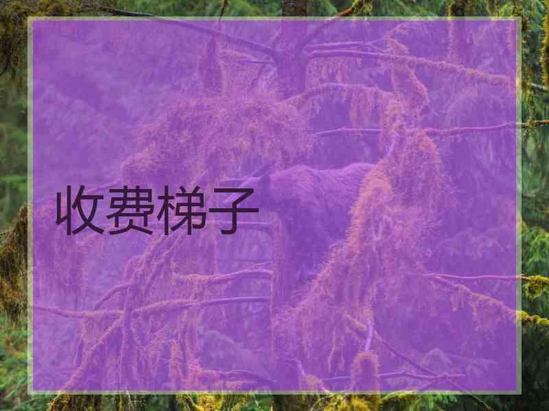 收费梯子