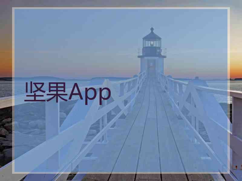 坚果App