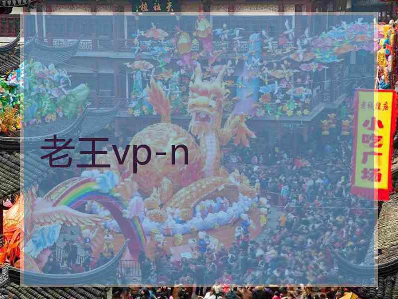 老王vp-n