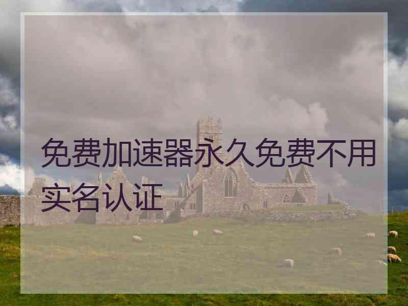 免费加速器永久免费不用实名认证