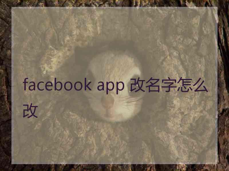 facebook app 改名字怎么改