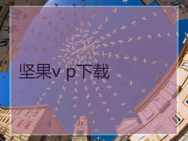 坚果v p下载