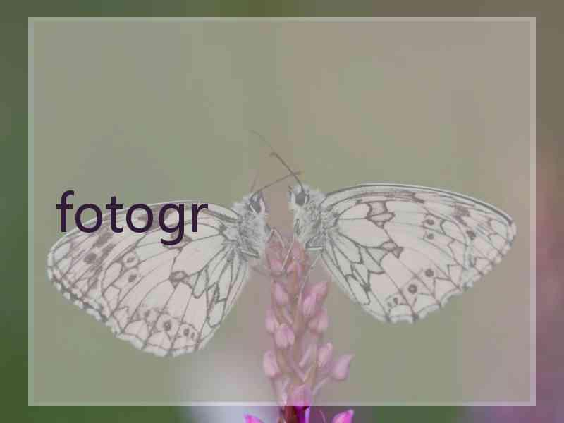 fotogr