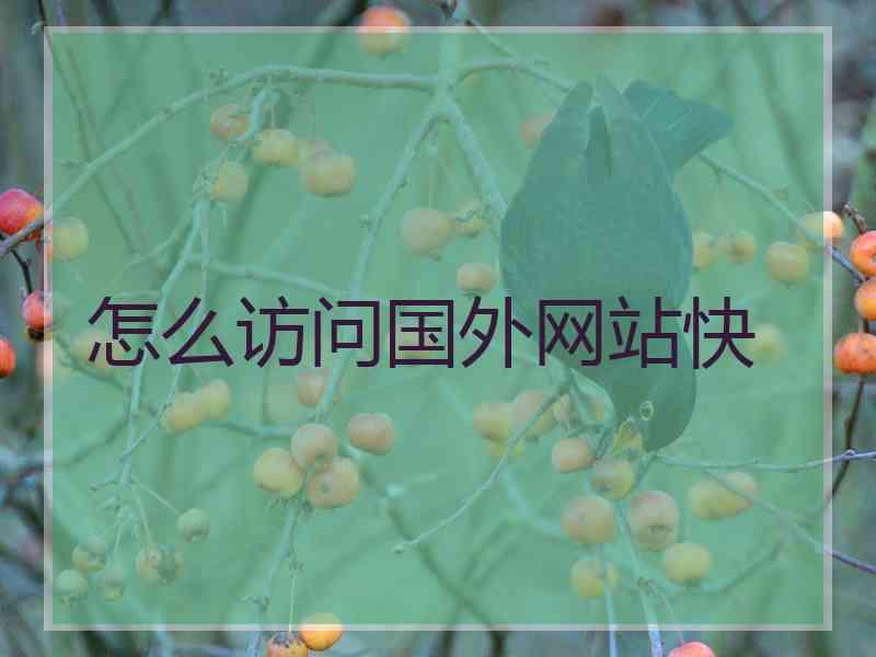 怎么访问国外网站快