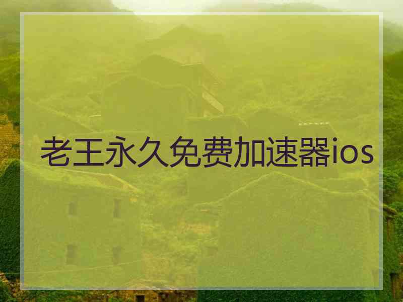 老王永久免费加速器ios