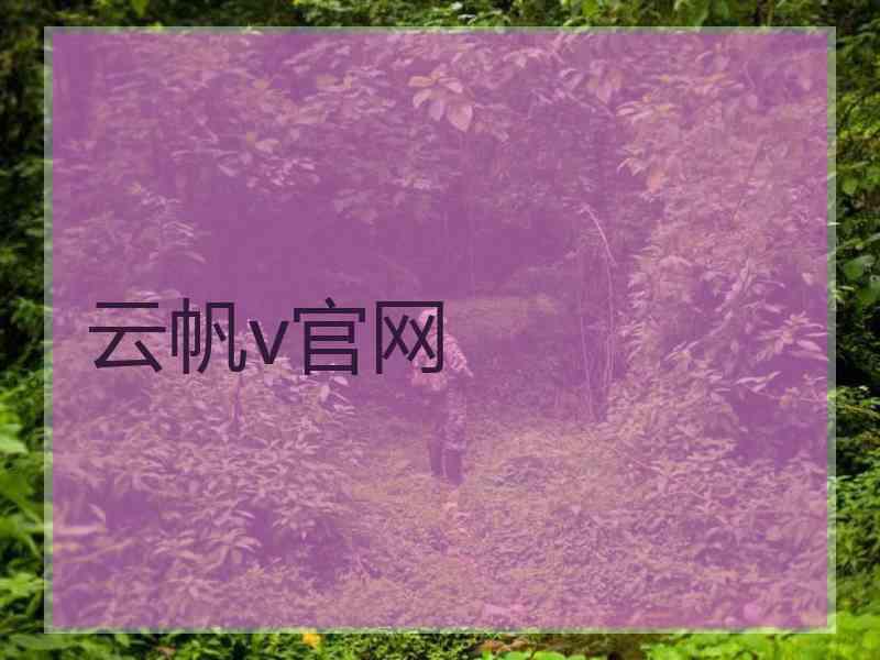 云帆v官网