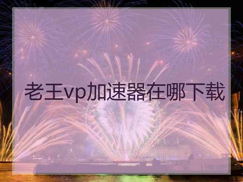 老王vp加速器在哪下载