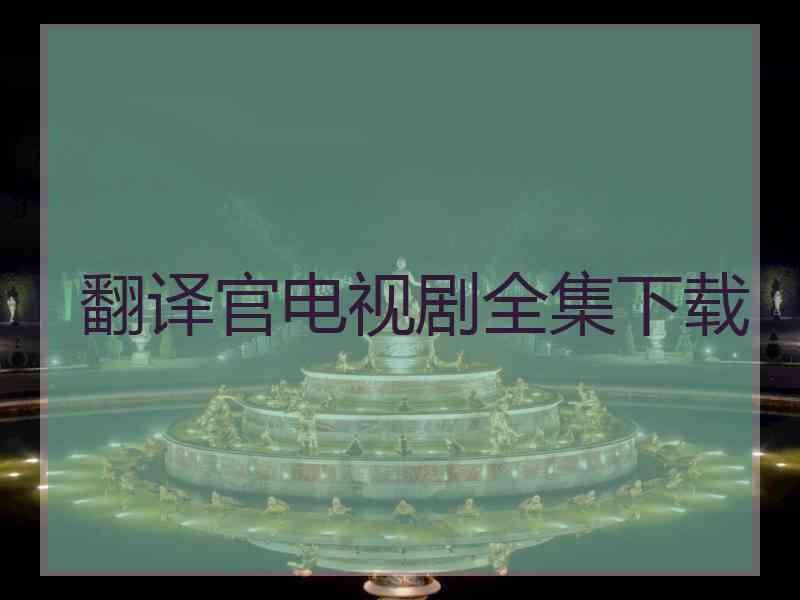 翻译官电视剧全集下载