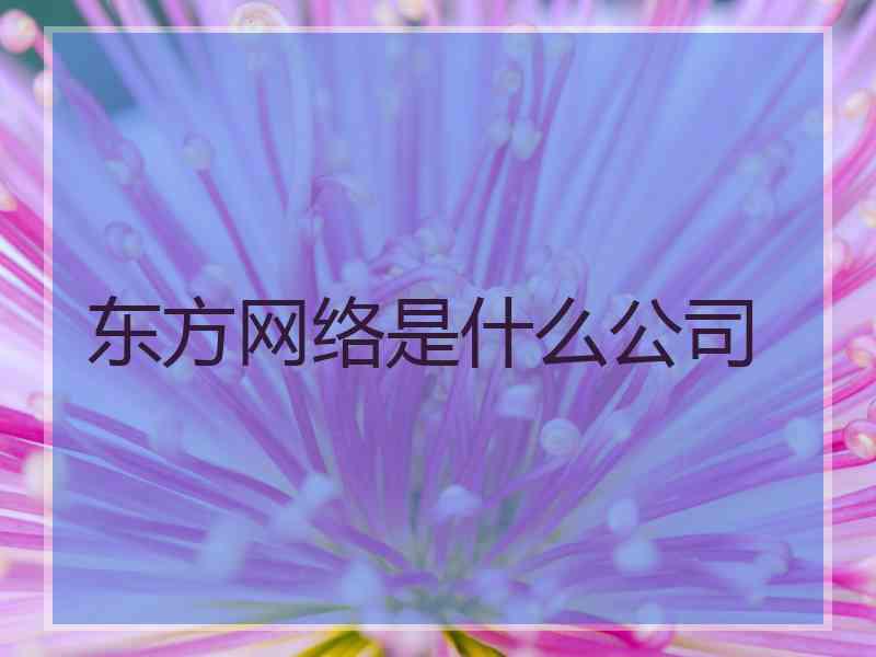 东方网络是什么公司