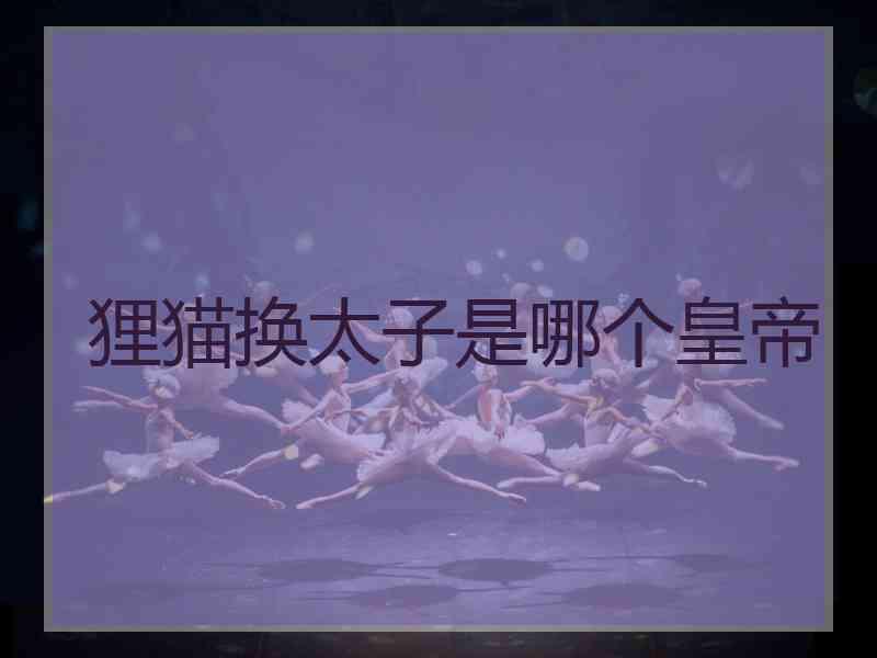 狸猫换太子是哪个皇帝