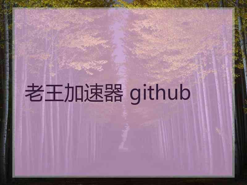 老王加速器 github